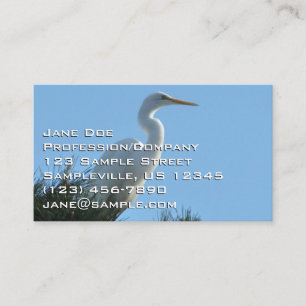 Carte De Visite Grande Aigrette en Floride ensoleillée