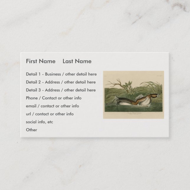 Carte De Visite Grebe from Audubon's Birds of America (Devant)