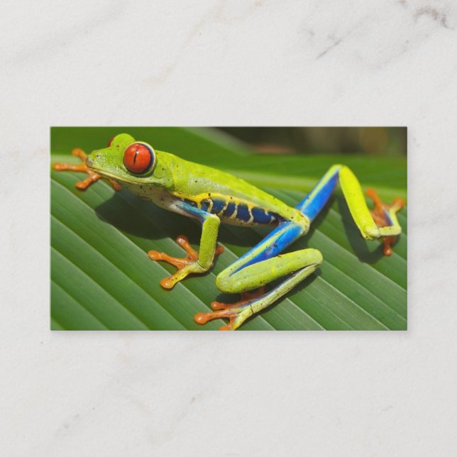 Carte De Visite Grenouille à oreilles rouges (Devant)