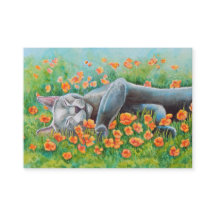 Grey Cat Double face ACEO