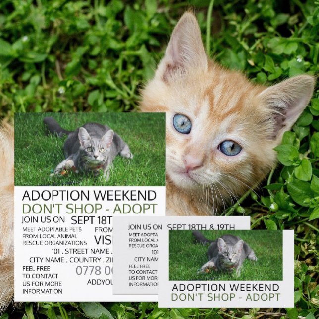Carte De Visite Grey Cat on Grass, Pet Adoption Evénement Publicit (Créateur téléchargé)