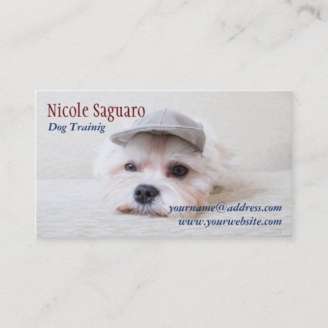 Carte De Visite Groomer d'entraîneur de chien (Devant)