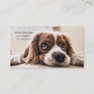 Carte De Visite Grooming