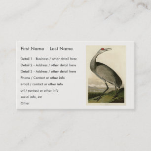 Carte De Visite Grue de Sandhill d'Audubon's Birds of America