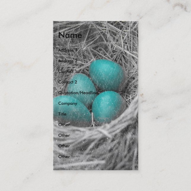 Carte De Visite Grunge des oeufs de Robin (Devant)