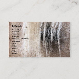 Carte De Visite Grunge Palomino