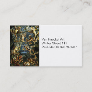 Carte De Visite Haeckel Amphibiens Vintages