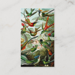 Carte De Visite Haeckel Hummingbirds