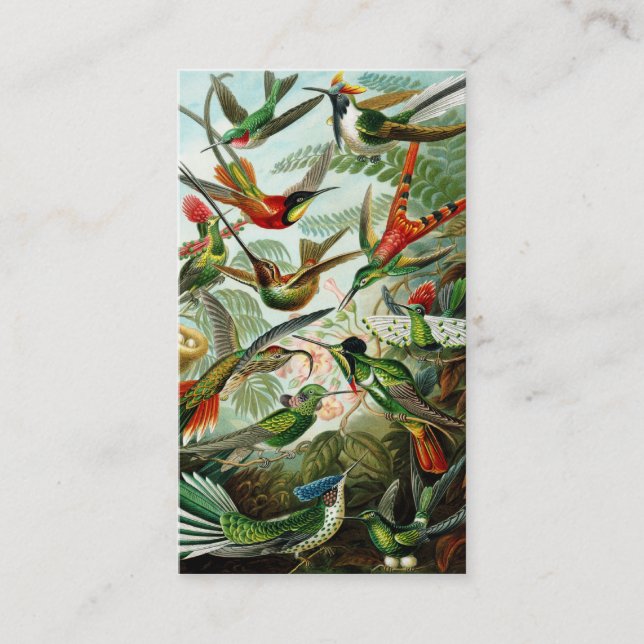 Carte De Visite Haeckel Hummingbirds (Devant)