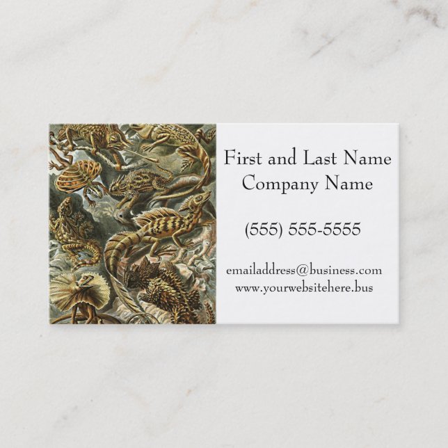 Carte De Visite Haeckel Lizard Porté Dragon Iguana Peinture (Devant)
