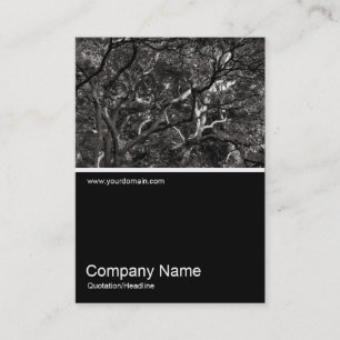 Carte De Visite Half&Half Photo 0286 - Branches japonaises 01