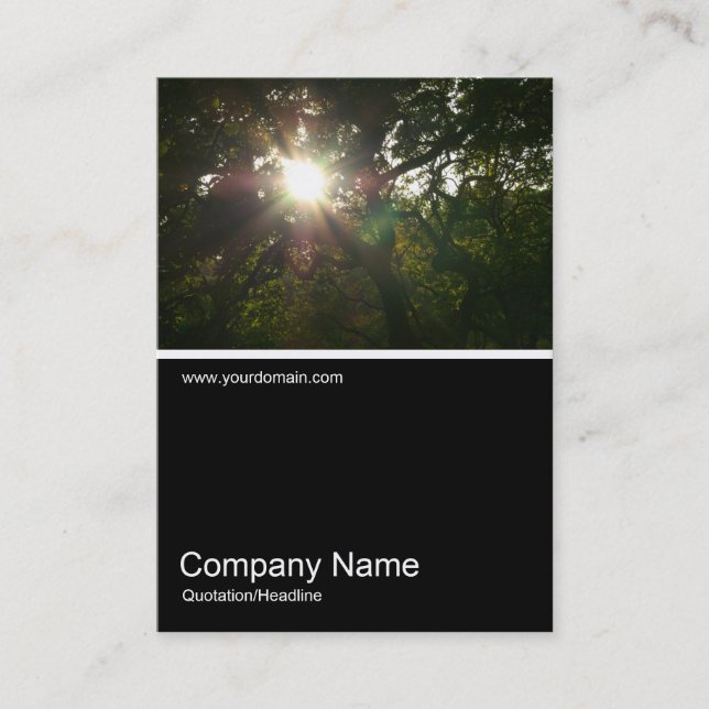 Carte De Visite Half&Half Photo 0290 - Branches japonaises 07 (Devant)