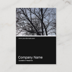 Carte De Visite Half&Half Photo 0296 - Branches Silhouettées