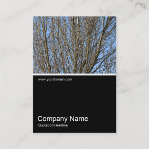 Carte De Visite Half&Half Photo 0297 - Branches illuminées