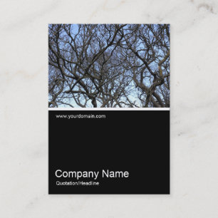 Carte De Visite Half&Half Photo 0299 - Branches de l'arbre Magnoli