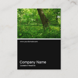 Carte De Visite Half&Half Photo 029 - Printemps dans les bois