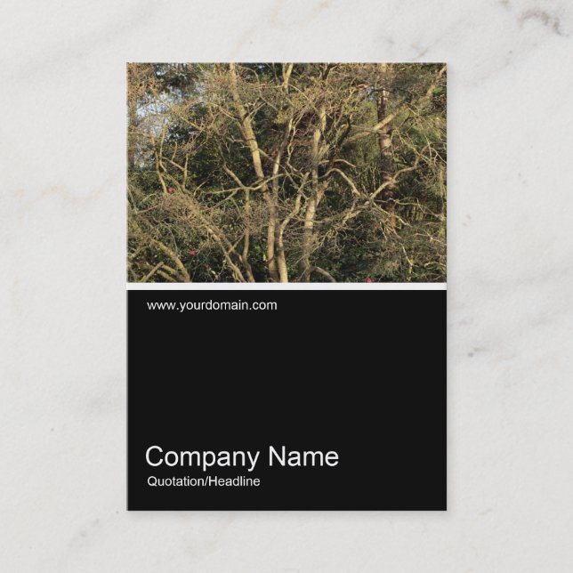 Carte De Visite Half&Half Photo 0312 - Branches d'or (Devant)