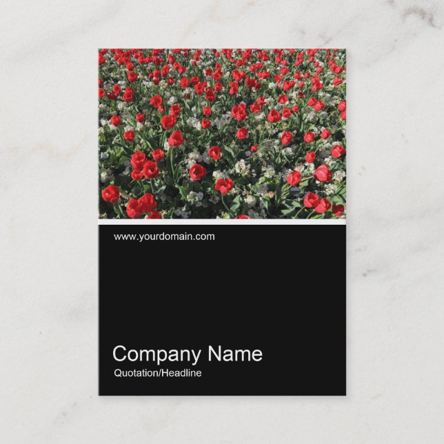 Carte De Visite Half&Half Photo 0316 - Tulipes rouges et Primroses (Devant)