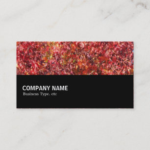 Carte De Visite Halfway 083 - Feuilles d'automne