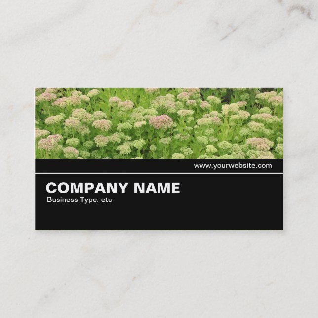 Carte De Visite Halfway V2 015 - Sedum (Automne Joy) (Devant)