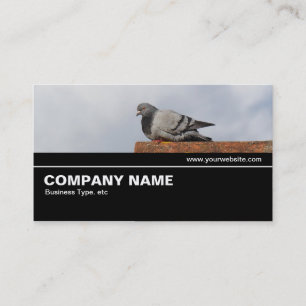 Carte De Visite Halfway V2 032 - Good Morning Pigeon