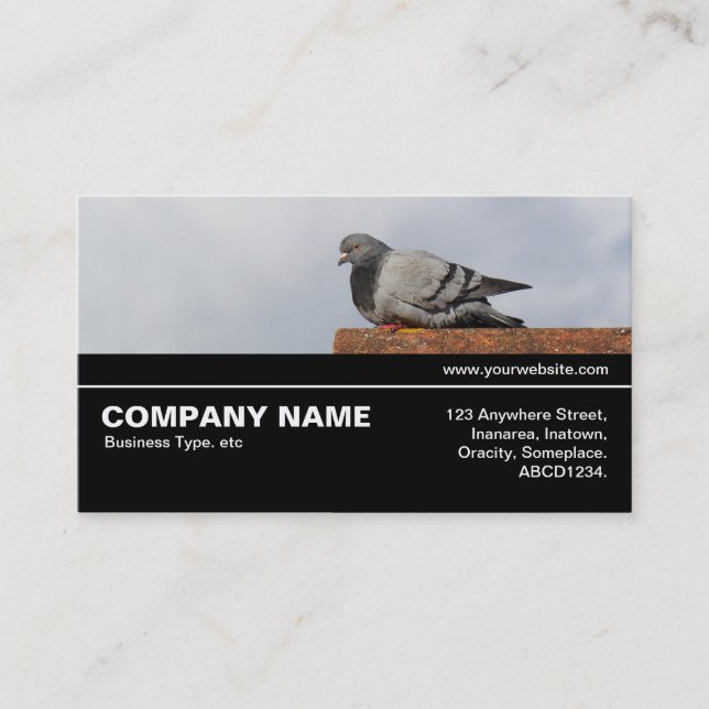 Carte De Visite Halfway V3 041 - Good Morning Pigeon (Devant)