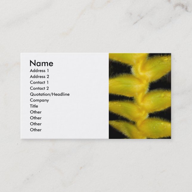 Carte De Visite Heliconia hawaïen jaune (Devant)