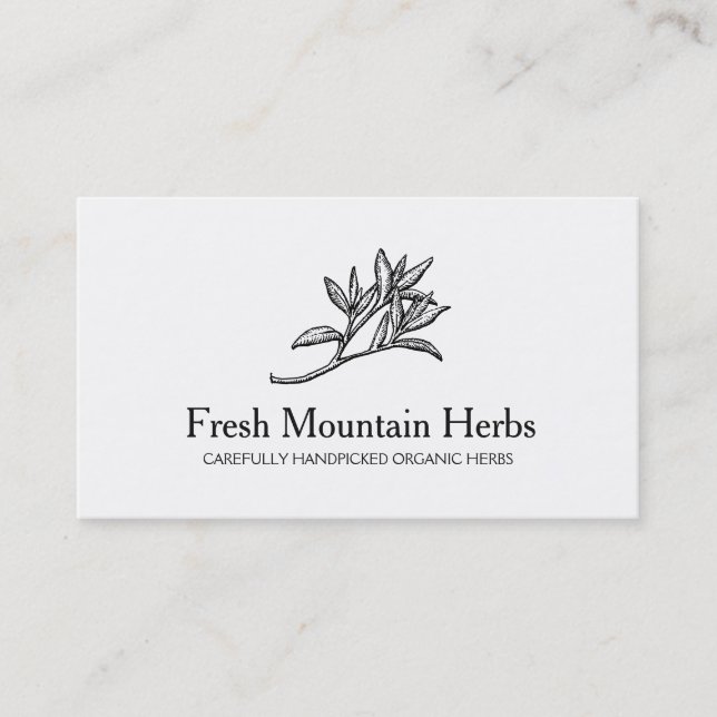 Carte De Visite Herbalist Herb (Devant)