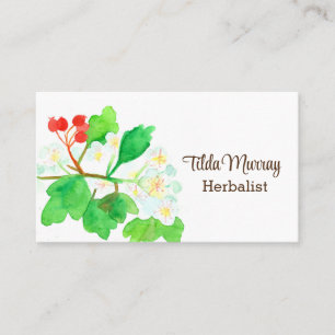 Carte De Visite Herbaliste Hawthorn Plante Berries Fleurs Herbes