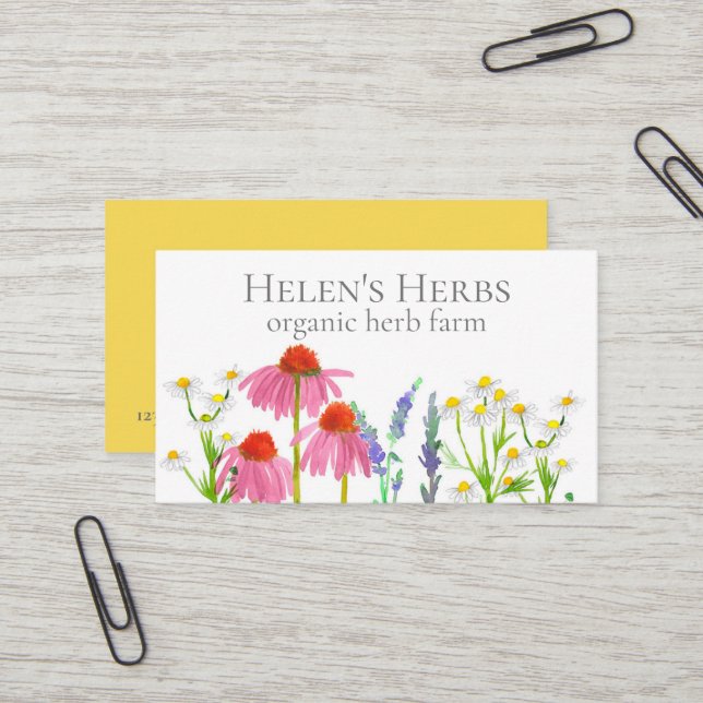 Carte De Visite Herbe Ferme Echinacea médicinal culinaire (Devant/Arrière en situation)