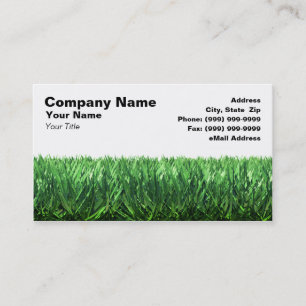Carte De Visite Herbe verte sur le fond blanc