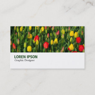 Carte De Visite Hi-Phi - 003 - Tulipes