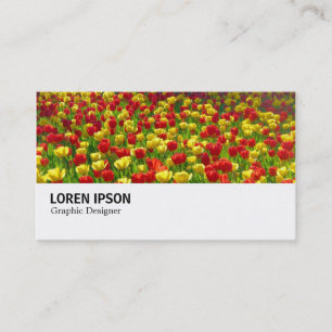 Carte De Visite Hi-Phi - 0187 - Mer des Tulipes