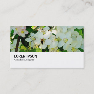 Carte De Visite Hi-Phi - 0194 - Making Honey