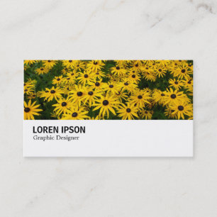 Carte De Visite Hi-Phi - 0243 Susans aux yeux noirs (Rudbeckia Hir