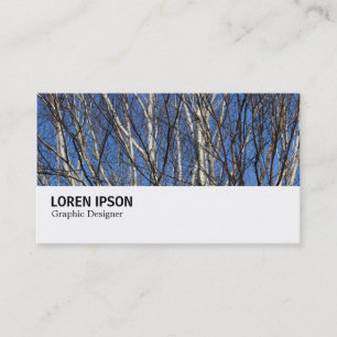 Carte De Visite Hi-Phi - 0279 - Branches de bouleau d'argent