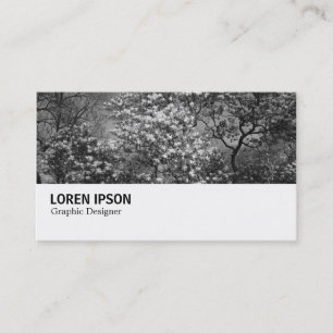 Carte De Visite Hi-Phi - 0291 - Magnolia Tree in Blossom