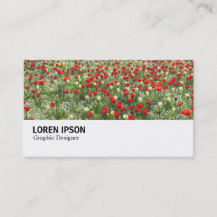 Carte De Visite Hi-Phi - 0373 - Lit de Tulipes