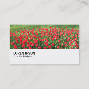 Carte De Visite Hi-Phi - 0374 - Lit de Tulipes Rouges 01
