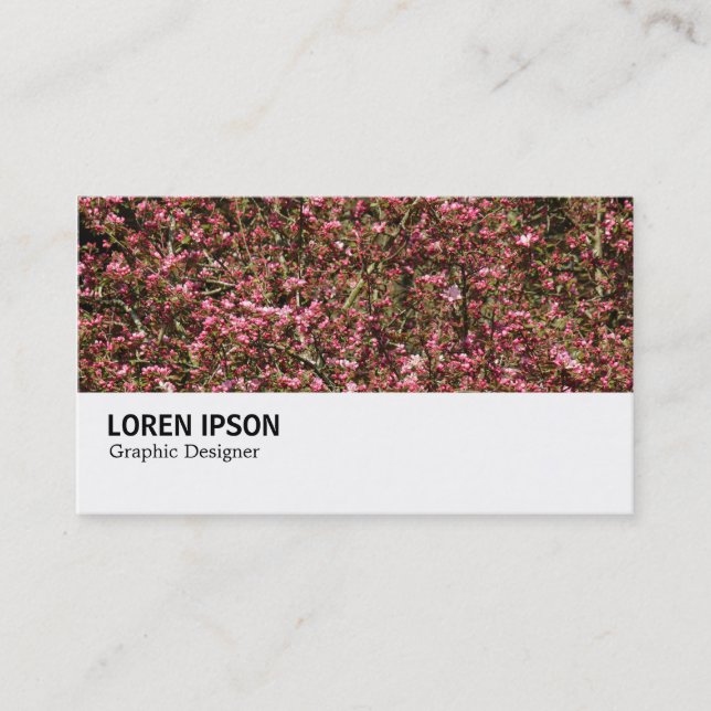Carte De Visite Hi-Phi - 0376 - Fleurs de cerisiers roses (Devant)