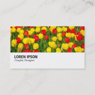 Carte De Visite Hi-Phi - 037 - Tulipes rouges et jaunes