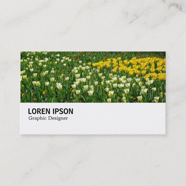 Carte De Visite Hi-Phi - 038 - Lit de Tulipes (Devant)