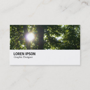 Carte De Visite Hi-Phi - 095 - Soleil à travers les arbres