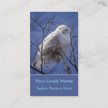 Hibou de Snowy White, oiseau arctique blanc, ciel