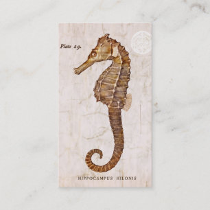 Carte De Visite Hippocampe vintage - hippocampes antiques