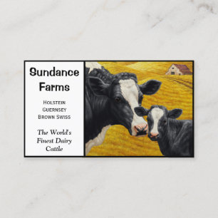 Carte De Visite Holstein Dairy Cattle Farm