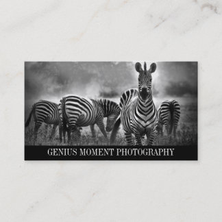 Carte de visite horizontal de photo