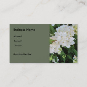 Carte De Visite Hortensias blancs