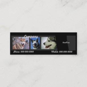 Carte de visite Huskies