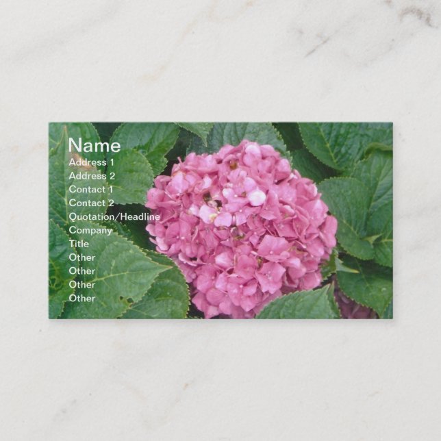 Carte De Visite Hydrangea rose (Devant)